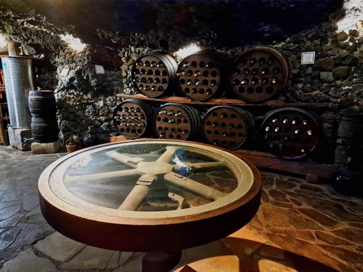 Finca Los Loros Icod De Los Vinos By Hrtenerife Net 圣克鲁斯-德特内里费 外观 照片
