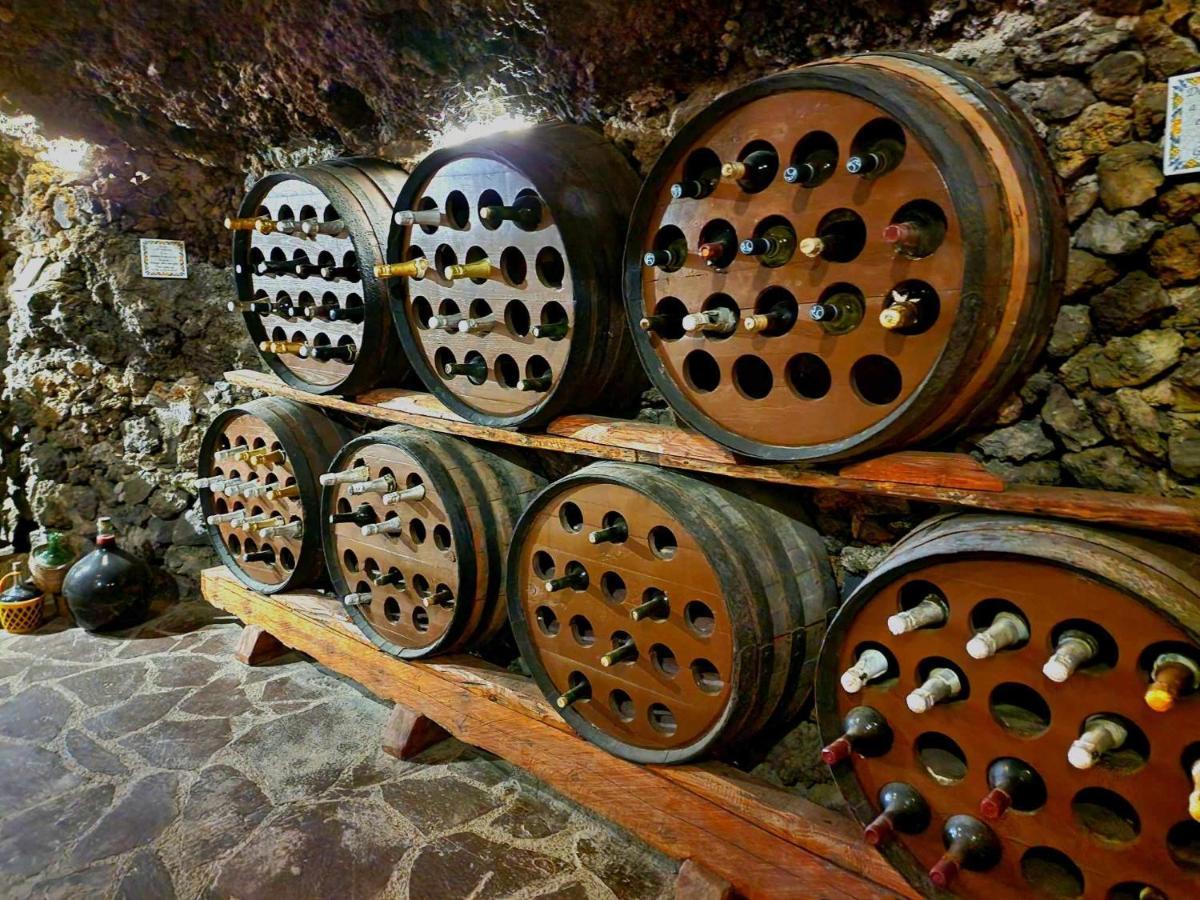 Finca Los Loros Icod De Los Vinos By Hrtenerife Net 圣克鲁斯-德特内里费 外观 照片